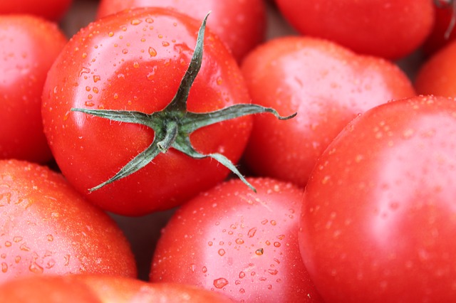 トマトの栄養と注意点